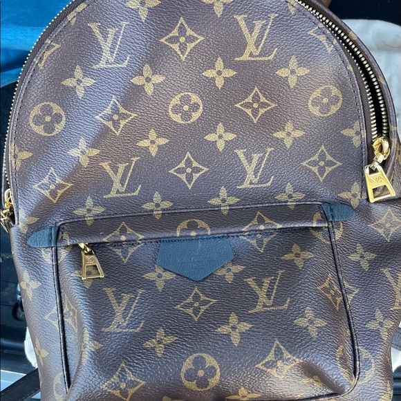Louis Vuitton Palm Springs MM monogram backpack - Picture 7 of 15